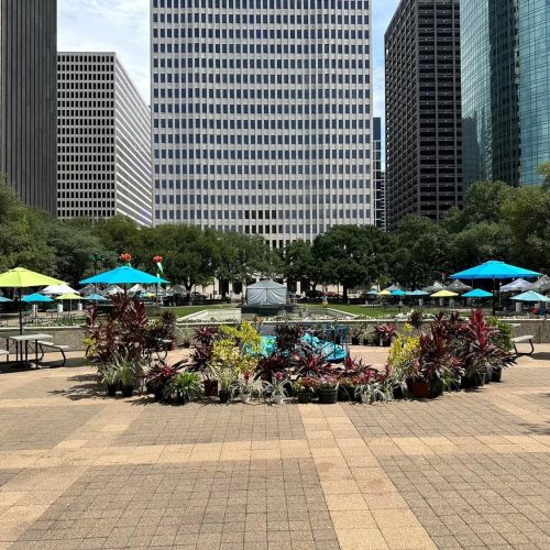 COH - Earth Day Event